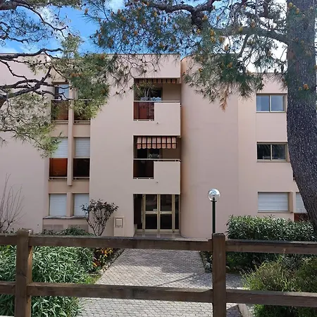 La Louisiane #piscine #parking #700m Plages Apartment Antibes